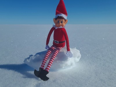 Elf on the Ross Ice Shelf 