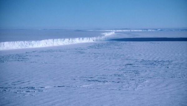 Global Team Studies Warming Effects in Antarctica